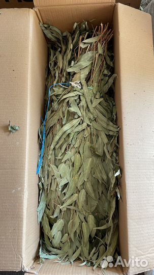 Банные веники