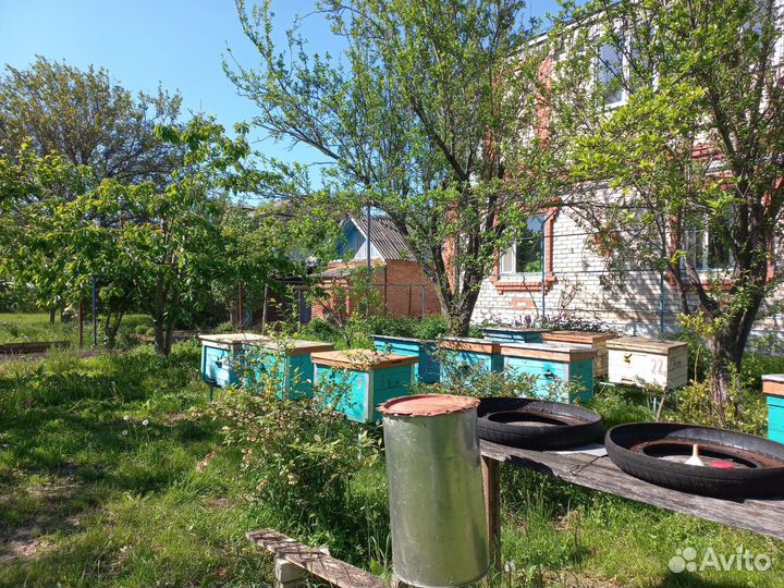 Продается пасека