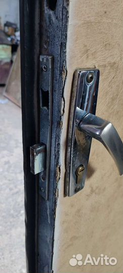 Дверь железный