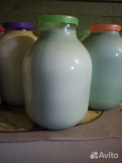 Молоко коровье, творог, сметана