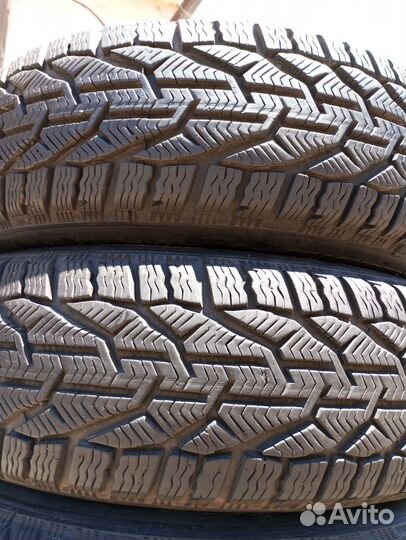 Tigar Winter 185/65 R15 92T