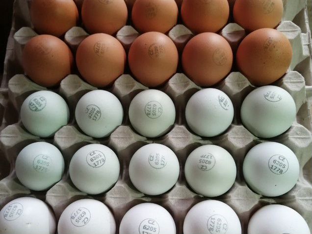 Мастер грей сколько стоят яйца. Яйцо чешского Доминанта купить в ниж Новгороде. Купить яйца мастер грей