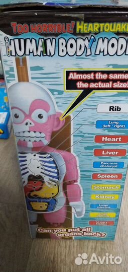 Игра модель человека