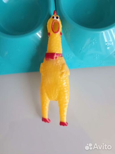 Корм для щенков йоркширского терьера