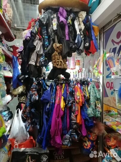 Одежда, обувь для собак