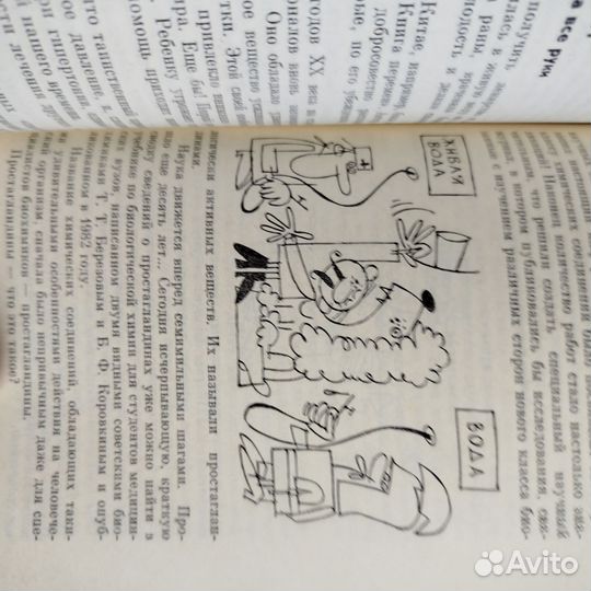 Закономерные чудеса. Е. Романцев