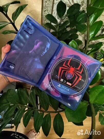 Spider man miles morales ps4 диск