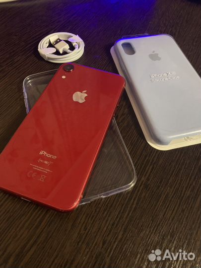 iPhone XR