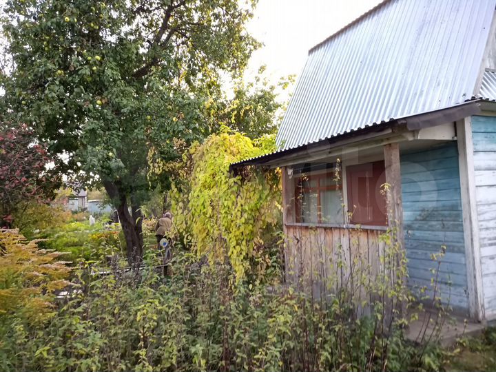 Авито дзержинск нижегородской. СНТ рассвет Рузский район. СНТ рассвет Чеховский район. СНТ рассвет Ашукино. СНТ рассвет Полушкино.