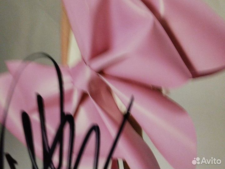 Афтогроф Милана стар