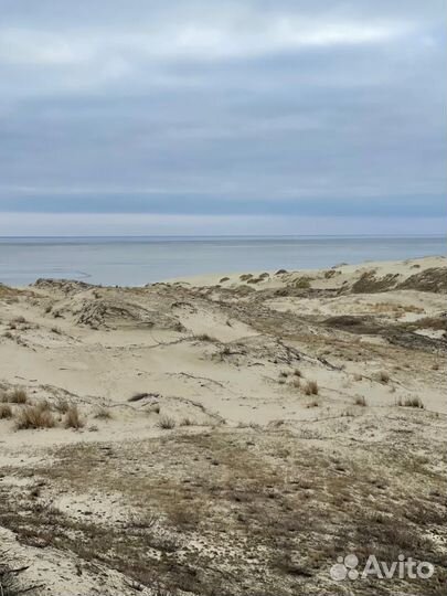 Индивидуальные экскурсии на Куршскую косу