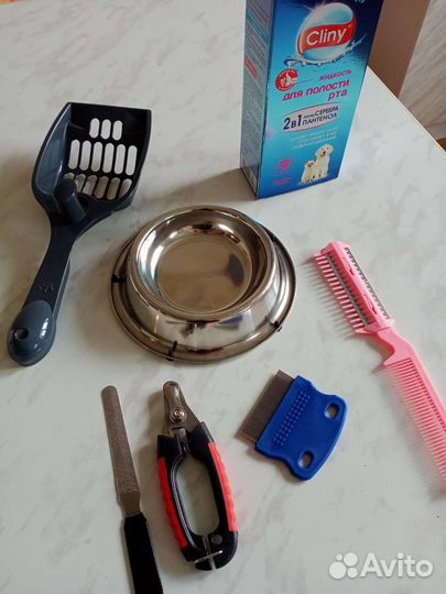 Новые аксессуары для кошек