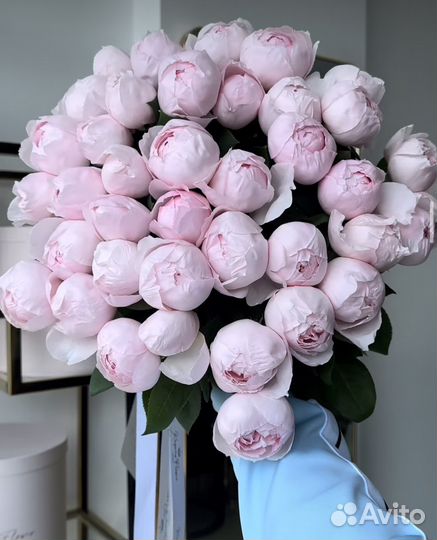 Пионы с доставкой 15 25 51 Цветы Букеты Розы