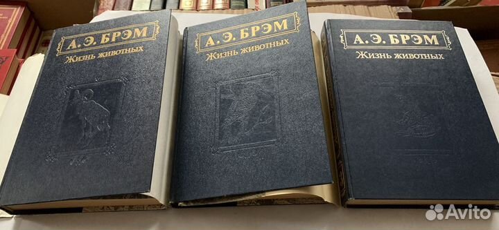А.Э. Брэм, жизнь животных в 3-х томах
