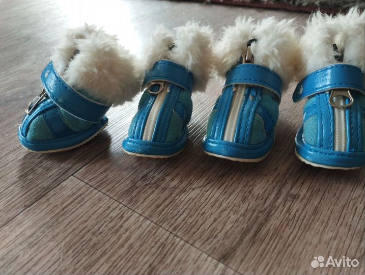 Ботинки для собак мелких пород