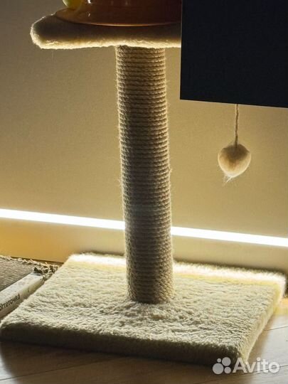 Когтеточка