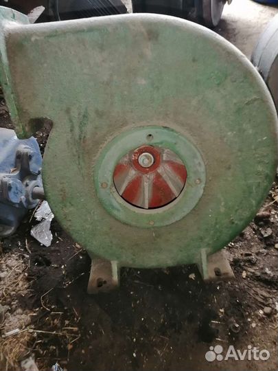 Улитки пылевые