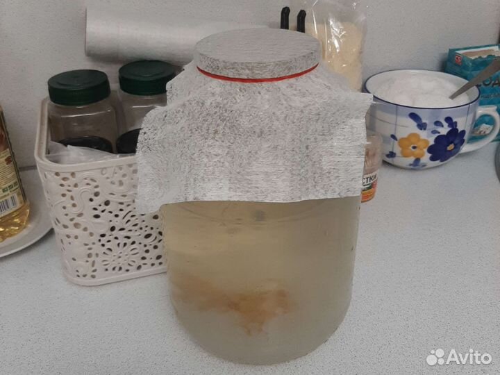 Индийский морской рис