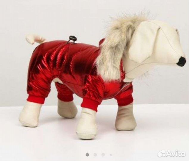 Одежда для собак