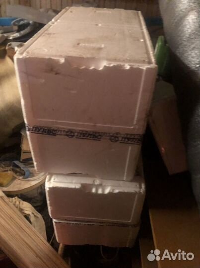 Контейнер коробка пенопласт