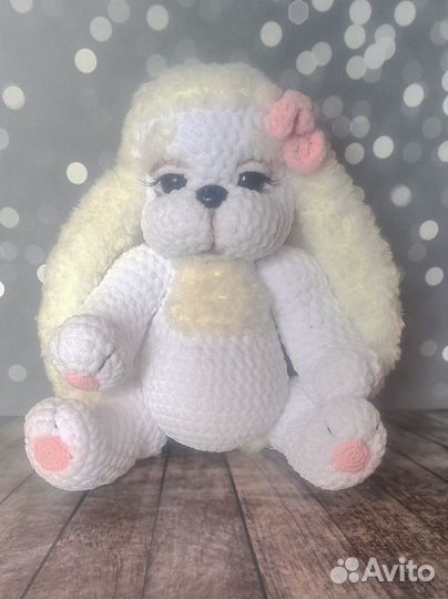 Собачка Леди