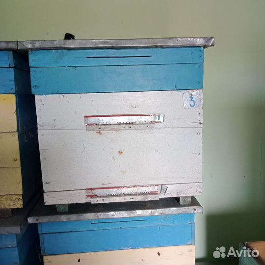 Ульи для пчел
