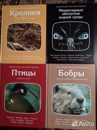 Серия книг 