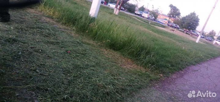 Покос травы, спил деревьев