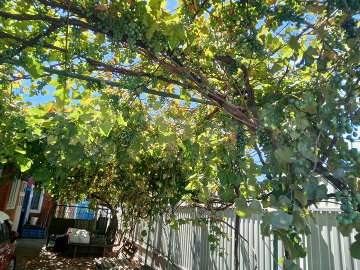 Дом 68,2 м² на участке 7,2 сот.