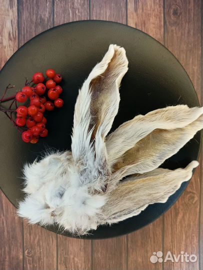 Лакомства для собак