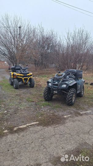 BRP 800