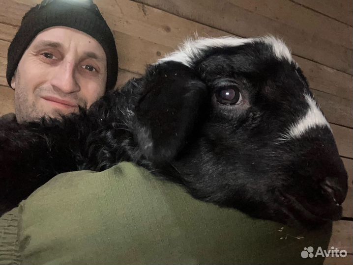 Инвестиции в сельское хозяйство 30 годовых