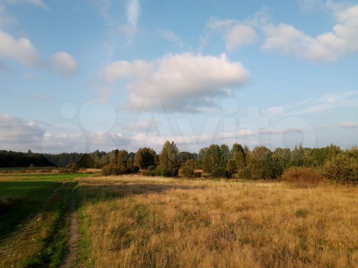 Участок 4 га (СНТ, ДНП)