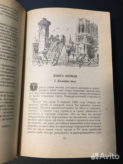 Собор Парижской богоматери, Виктор Гюго, 1984