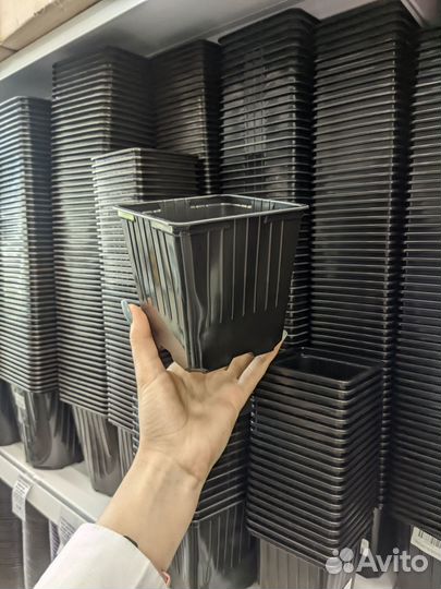 Контейнер для рассады