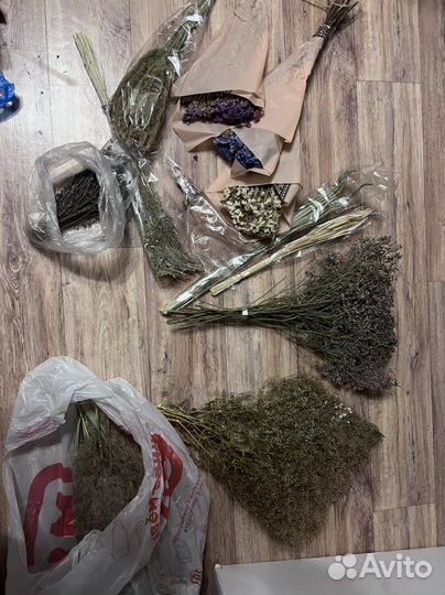 Сухоцветы для творчества