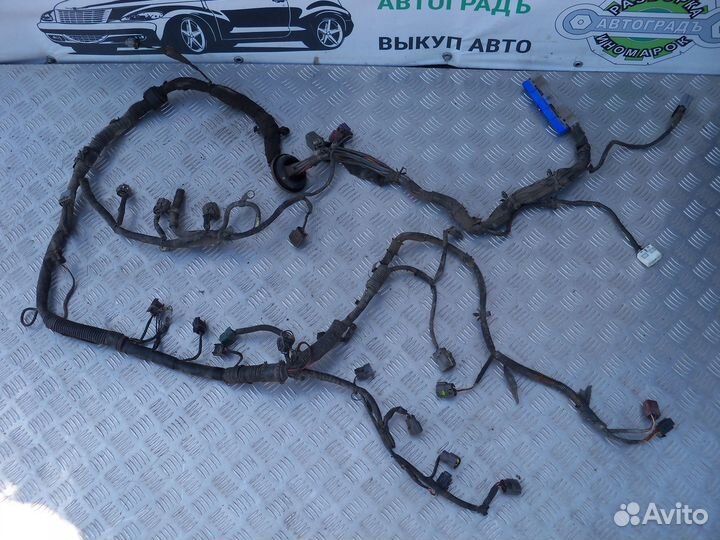 Проводка двигателя Nissan Maxima A32 VQ30 1995г