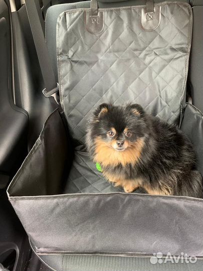 Автогамак для перевозки животных