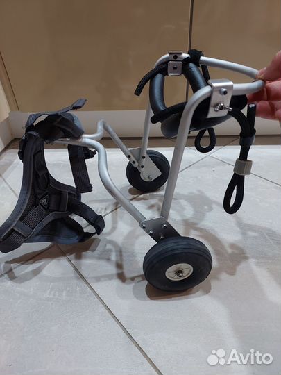 Инвалидная коляска для мелких и средних собак