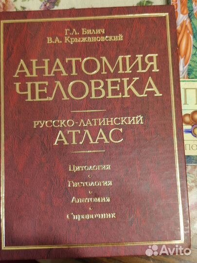 Атлас анатомия человека энциклопедия