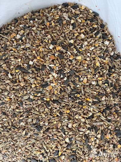 Зерносмесь для кур