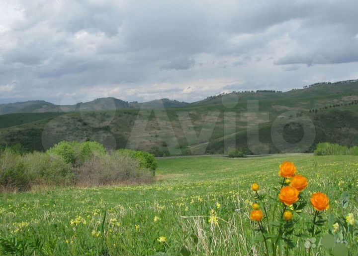 Участок 43,1 га (СНТ, ДНП)