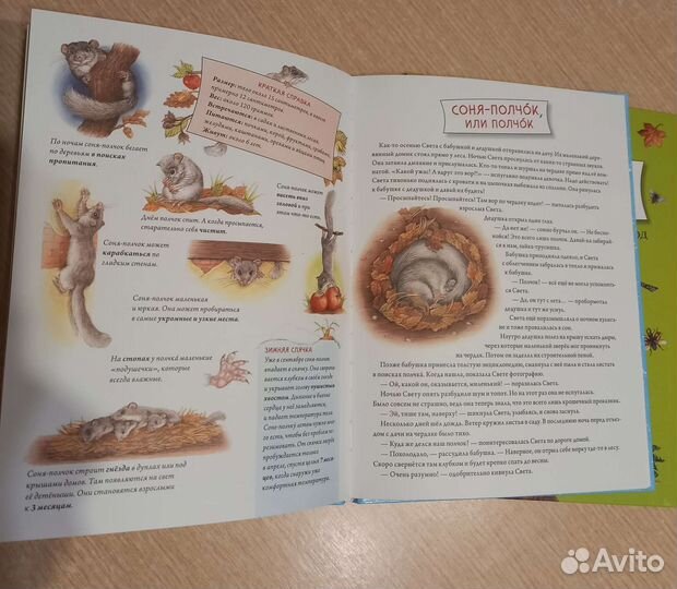 Детские книги новые