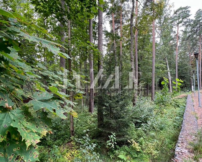 Участок 18 сот. (СНТ, ДНП)