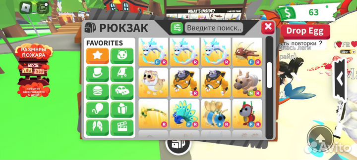 Петы адопт ми