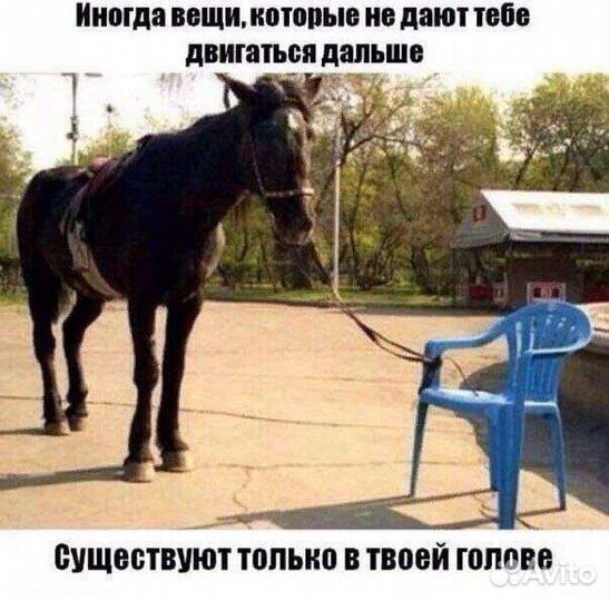 Свой Человек, помощь Волгоград, Волжский, область