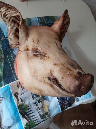 Сало, голова свиньи