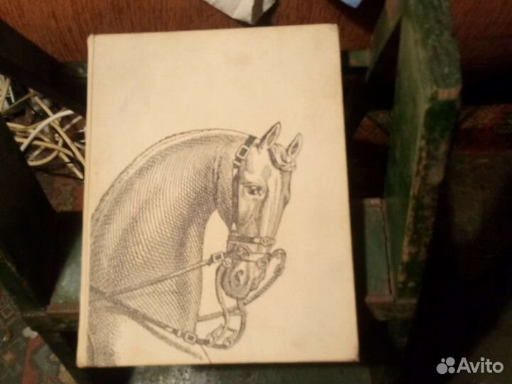 Конезавоство и конный спорт