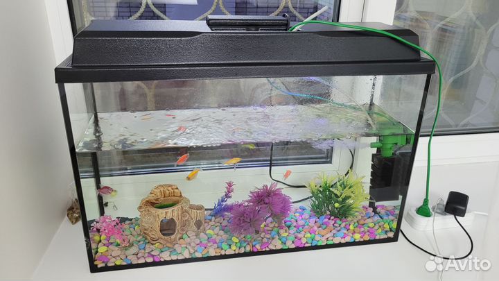 Аквариум с рыбками