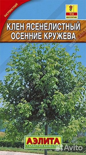 Семена зелёных растений